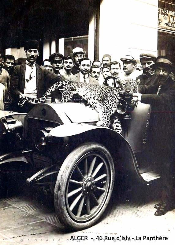 Alger - Rue d'Isly no 46 - La Panthere.jpg